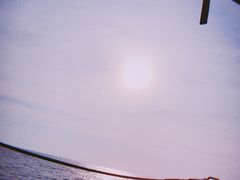 -珊瑚岛