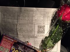 -枫花园汽车电影院(朝阳公园店)