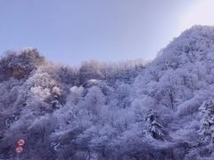 -秦岭风景区