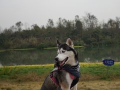 -桤木河湿地公园