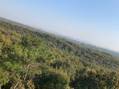 -紫金山山顶公园
