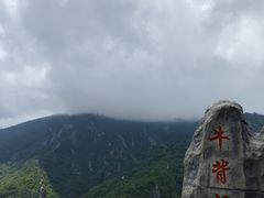 -牛背梁国家森林公园