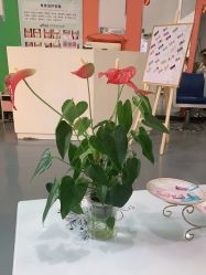 -冰芙洁问题性皮肤美甲美睫