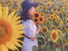 -西青郊野公园