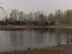 -东郊湿地公园