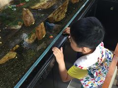 -泰谷酒店·太古码头闽菜自助餐厅