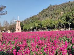 -顺峰山公园