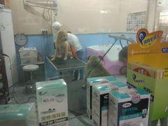 -仁普宠物诊所(住友昌盛新苑店)