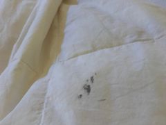 -天津君隆威斯汀酒店