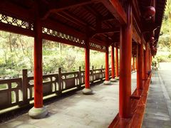 -南山植物园