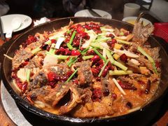 -老板恋上鱼(高新万达店)