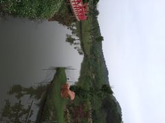 丹樱生态园-丹樱生态园