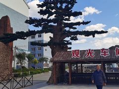 -山叶口景区