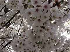 -蠡湖大桥公园