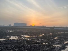 -南汇新城海滩