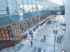 -英迪拉·甘地国际机场