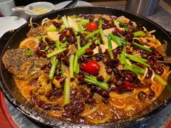 -老板恋上鱼(高新万达店)