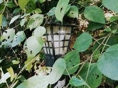 -中国花亭湖风景名胜区-西风禅寺