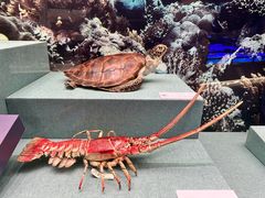 -上海中国航海博物馆