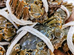 -阳澄湖大闸蟹·琼灵阁牌品牌连锁(吴中总店)