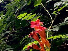 -浙江大学医学院附属第二医院(解放路院区)