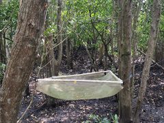 -东寨港红树林旅游区