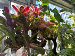 -国家植物园南园