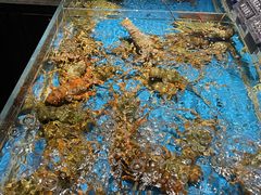 -徐记海鲜(大雁塔|金都店)