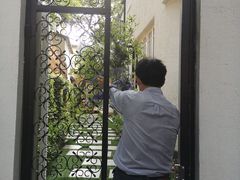 -中国福利会少年宫