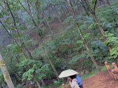 -洛阳白云山景区