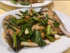 姜葱马鲛鱼-电白鸭粥店(下沙二坊88号店)