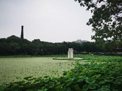 -谷咖啡·鲜花绿植花园餐厅