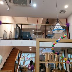 -章光101养发生发防脱发