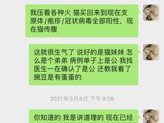 -喵百万·布偶·蓝金金渐层英短·猫舍(百子湾店)