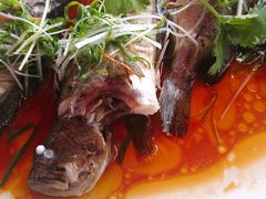 -大门水乡·顺德菜