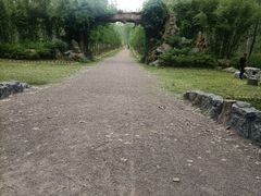 -合肥滨湖国家森林公园