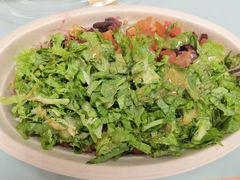 -油梨树 AVOCADO TREE(亮马桥店)