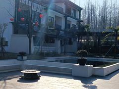 -黄海国家森林公园