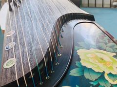 -爱乐蒙艺术·古筝 钢琴 声乐(科华校区)