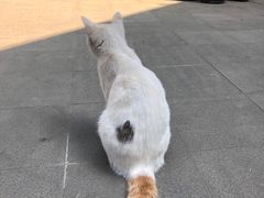 -凡德艺术街区