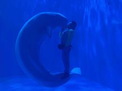 -多彩贵州城极地海洋世界