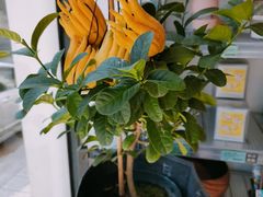 -研途咖啡馆(健康路店)