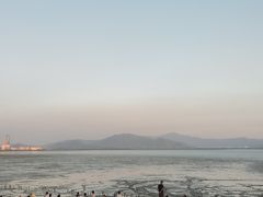 -深圳湾公园(南山区)