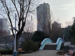 -新虹桥中心花园