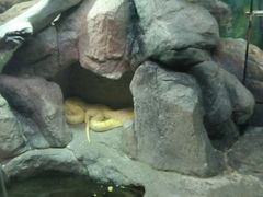 -福州罗源湾海洋世界旅游区