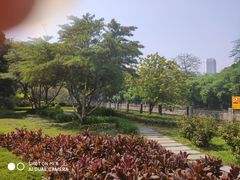 -晓港公园