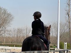 -北京群众马术培训基地