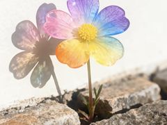 -余百年·现烧烧腊(布吉金利店)