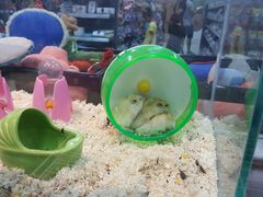 -乐宠宠物店(世纪金源店)