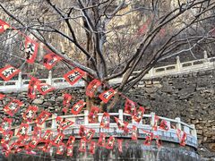 -藏山旅游风景区